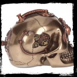 Nemesis Now - Steam Powered Observation Skull 16.5cm Bronze Collection